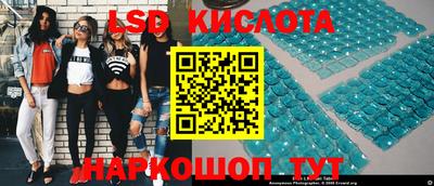 СК Ярославль