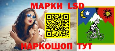 СК Ярославль
