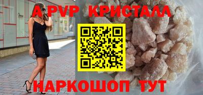 СК Ярославль