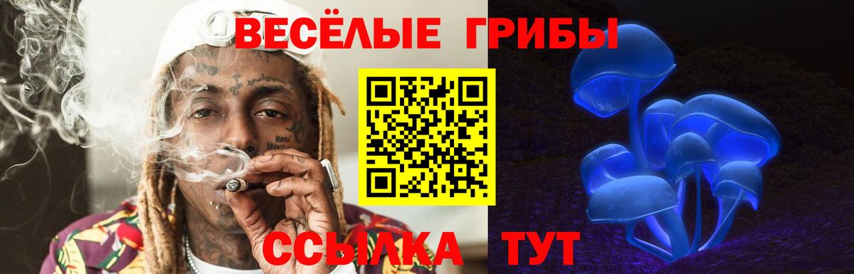 Гуково  Галлюциногенные грибы MAGIC MUSHROOMS  Вход с VPN  Псилоцибиновые грибы прущие грибы 